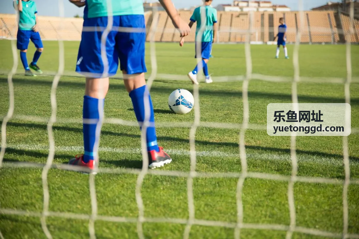 访问乐鱼网址前检查网络与浏览器环境